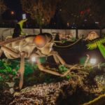 expozitia educativa giant bugs aduce la palas o lume nevazuta marita de mii de ori 68bab6185a69e