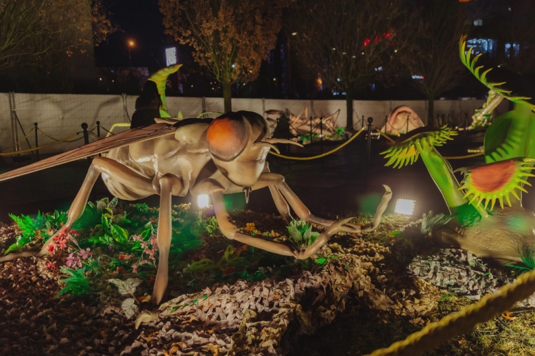 expozitia educativa giant bugs aduce la palas o lume nevazuta marita de mii de ori 68bab6185a69e