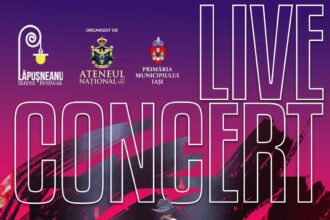 festivalul strazii lapusneanu editia vii o sarbatoare pentru intreaga comunitate 68ca68143eb11