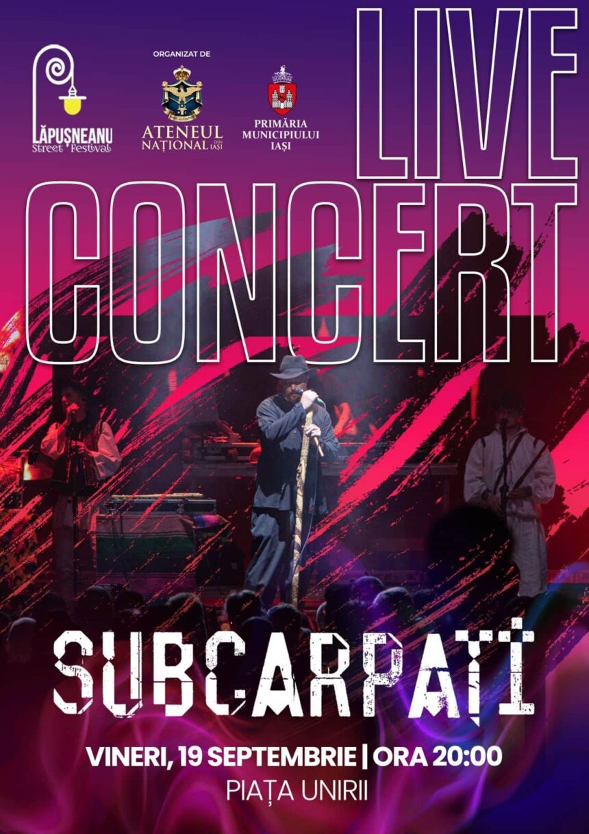 festivalul strazii lapusneanu editia vii o sarbatoare pentru intreaga comunitate 68ca68143eb11