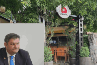 firma protejatului pnl in topul datorincilor catre finantele locale amenzi una peste alta localul functioneaza ilegal in continuare 68bb837879db6