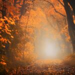 horoscopul saptamanii 29 septembrie 3 octombrie 2025 ce iti aduce inceputul lunii in functie de zodie 68da315615b3e 2