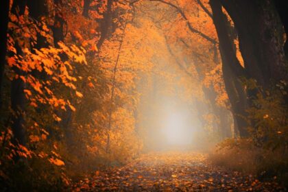 horoscopul saptamanii 29 septembrie 3 octombrie 2025 ce iti aduce inceputul lunii in functie de zodie 68da315615b3e 2