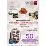 iasul readuce la viata trecutul restaurarea ilustrata expozitia care dezvaluie culisele patrimoniului 68bfea4a8a723