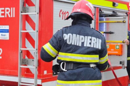 incendiu de proportii la gradina zoologica din bucuresti au ars peste 2 000 de metri patrati 11 autospeciale la fata locului 68c030fe1fb3b