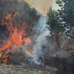 incendiu de vegetatie de proportii in giurgiu opt ore de lupta cu flacarile pentru salvatori 68b950557ed18