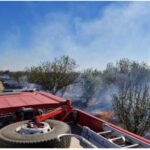 incendiu de vegetatie uscata pe 50 de hectare in teleorman flacarile extins la o livada si ameninta casele din zona 68d1554a91eca