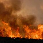 incendiu in prahova ard 80 de hectare de vegetatie langa ploiesti 68bc64b704f7c