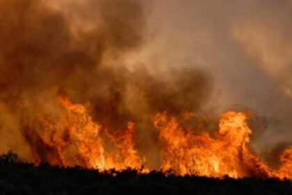 incendiu in prahova ard 80 de hectare de vegetatie langa ploiesti 68bc64b704f7c