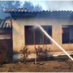 incendiu masiv de vegetatie in giurgiu flacarile s au extins la 11 gospodarii trei case au fost grav afectate 68bb30b378bd8
