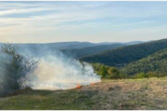 incendiu masiv de vegetatie in judetul vaslui peste 40 de hectare de liziera si pasune au fost mistuite de flacari 68bd467c3e989