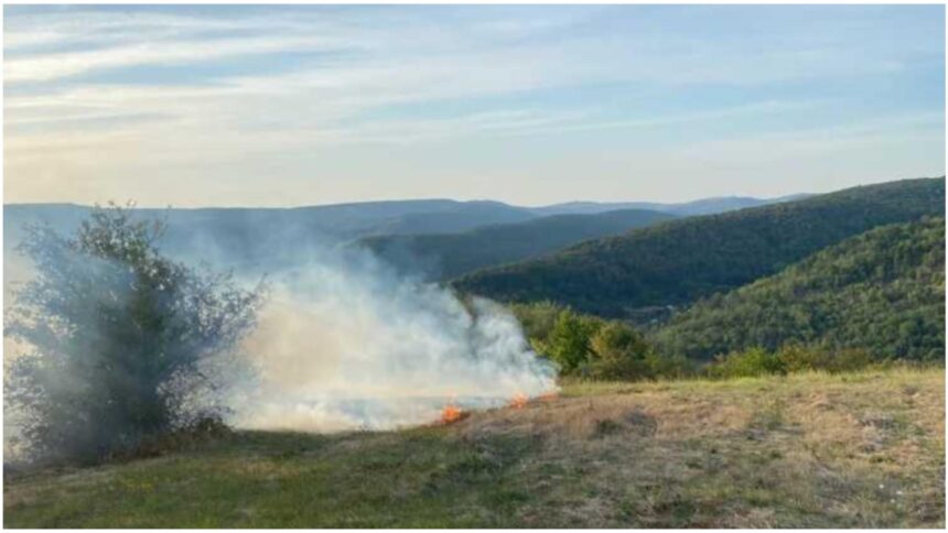 incendiu masiv de vegetatie in judetul vaslui peste 40 de hectare de liziera si pasune au fost mistuite de flacari 68bd467c3e989