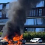 incendiu masiv langa castelul corvinilor trei masini afectate un barbat ranit usor 68d16672b98a6