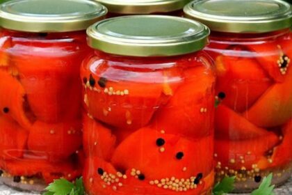 ingredientul secret care mentine gogosarii murati crocanti cea mai buna reteta de muraturi 68c3d51ccb66a