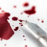 la o bere in garaj un afacerist decazut le a taiat burtile de la un cap la altul cu un cutter amicilor de pahar sentinta surpriza dictata de instanta 68d72a69442e0