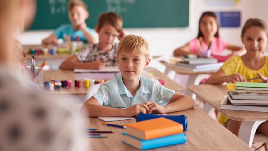 ministerul educatiei ii contrazice pe profesorii iesiti in strada cursurile se desfasoara normal in majoritatea scolilor din tara 68c06c10cbbca