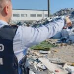 ministra rezist a mediului vrea ordonanta ca imaginile de la garda de mediu sa devina proba in instanta 68b7379d44e6e