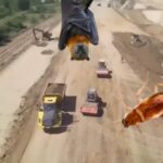 ong urile de mediu proiecte strategice blocate la ordin cum au intarziat gandacul cafeniu si coloniile de lilieci lucrarile de infrastructura 68d3707775d5a