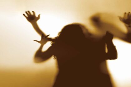 parlamentul a decis a fost infiintata comisia romania fara violenta domestica 68bda014b52ce