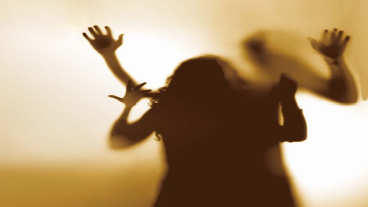 parlamentul a decis a fost infiintata comisia romania fara violenta domestica 68bda014b52ce