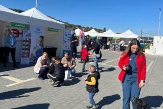 pet care fest are loc astazi la arcadia vet consultatii gratuite ateliere si surprize pentru animalute galerie foto video 68d7a9236dc3c