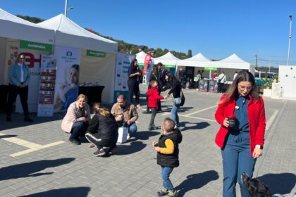 pet care fest are loc astazi la arcadia vet consultatii gratuite ateliere si surprize pentru animalute galerie foto video 68d7a9236dc3c