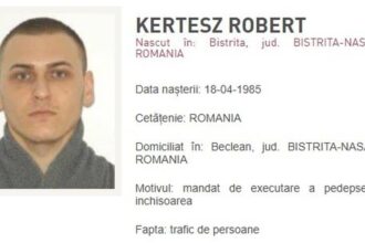 politia romana aduce in tara un urmarit international din categoria most wanted condamnat pentru trafic de minori si proxenetism 68c0b6d5a6795