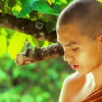 principii ale calugarilor budisti care iti pot schimba viata rutina zilnica ce iti va imbunatati starea de spirit 68c2bc4a36a89