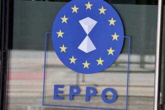 prins de dna in delta dunarii cand primea 60 000 euro ceruse 180 000 euro ca sa intervina intr un dosar al parchetului european 68c2d6f4cef63 1