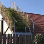 romanul care creste legume pe acoperisul casei sunt chiar incantat nu e un lucru rau 68c6e53c7ef72