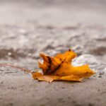 scad temperaturile in capitala prognoza meteo pentru urmatoarele zile maximele nu trec de 19 grade la inceput de octombrie 68da4091da73f