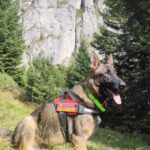 schelet uman descoperit in muntii ceahlau anchetatorii cred ca ramasitele dateaza de peste 20 de ani tulburator ce au gasit in haine foto 68c162545992c