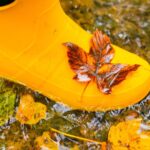 schimbare brusca de temperatura dupa zilele calde vremea se raceste si vin ploile temperaturi chiar si cu 10 grade mai scazute 68d1271f6d794