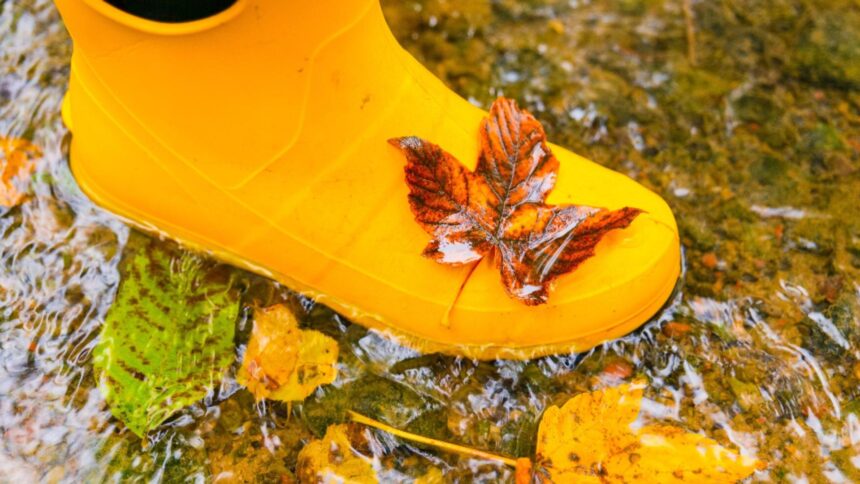 schimbare brusca de temperatura dupa zilele calde vremea se raceste si vin ploile temperaturi chiar si cu 10 grade mai scazute 68d1271f6d794