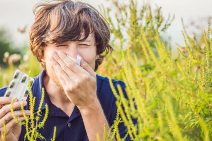 sezon zgomotos de alergii la ambrozie la iasi cazurile cresc cu aproape 60 in luna septembrie se recomanda masca 68d8826eb6deb