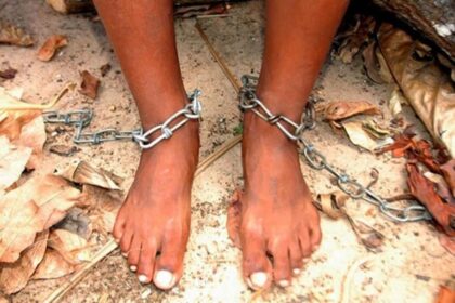 sibianul care si a legat copilul cu lantul pentru a merge la cumparaturi cercetat sub control judiciar 68c1235d6b502