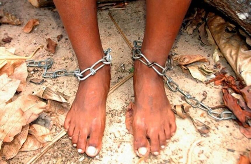 sibianul care si a legat copilul cu lantul pentru a merge la cumparaturi cercetat sub control judiciar 68c1235d6b502