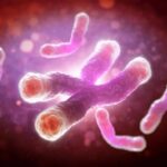 studiu un medicament utilizat frecvent pentru diabet ar putea avea si efecte anti imbatranire 68c67e0eb0fef