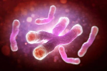 studiu un medicament utilizat frecvent pentru diabet ar putea avea si efecte anti imbatranire 68c67e0eb0fef