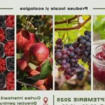 targul de fructe vinuri si dulceturi revine pe 5 6 septembrie in curtea interioara a directiei agricole 68b8dbe51487f