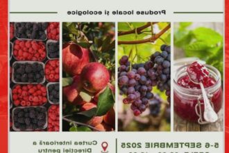 targul de fructe vinuri si dulceturi revine pe 5 6 septembrie in curtea interioara a directiei agricole 68b8dbe51487f