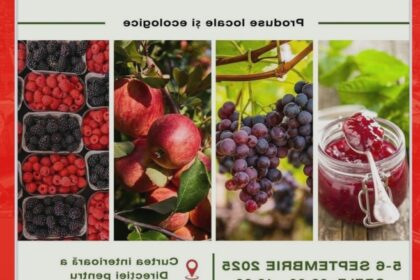 targul de fructe vinuri si dulceturi revine pe 5 6 septembrie in curtea interioara a directiei agricole 68b8dbe51487f