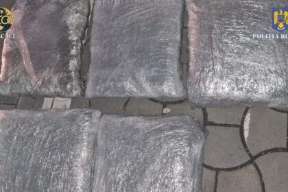 trei barbati retinuti pentru trafic de droguri dupa ce au fost prinsi in flagrant cand ridicau un colet cu cannabis trimis din spania 68cd2e11df6c6