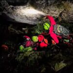 turist francez ranit in muntii bucegi a fost recuperat de salvamontisti dupa o operatiune de peste 6 ore video 68ccfcf4251a9