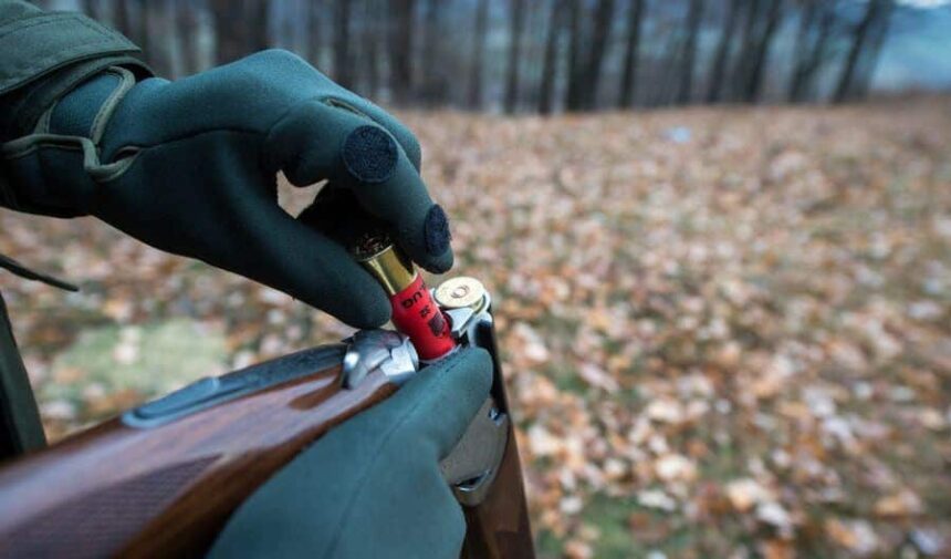 un administrator de fond de vanatoare din bistrita a impuscat un barbat in picior dupa ce ar fi fost amenintat de un grup 68c97fe6ebc29