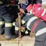 un copil din letcani a fost gasit intr o fantana dupa o cearta cu parintii a refuzat sa fie scos din apa 68b77f6bba6da