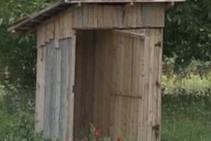 un iesean a fost obligat sa si sape o toaleta in fundul curtii din cauza apavital ce a decis instanta 68b6351fdbb13