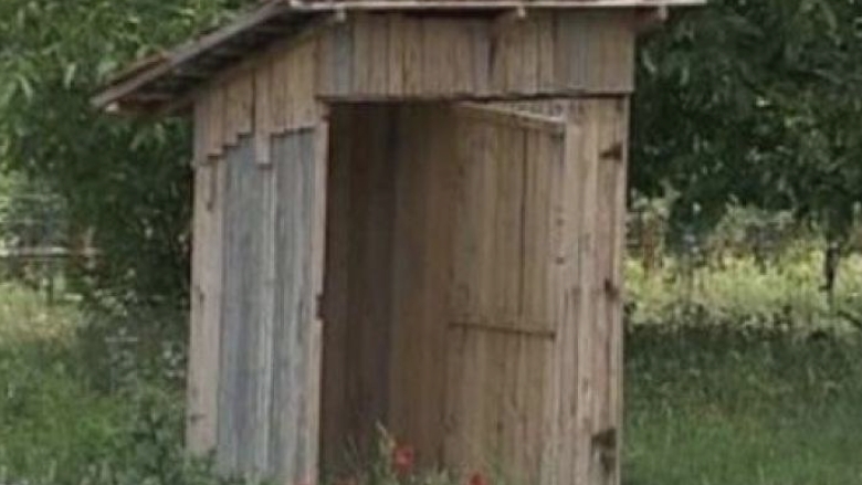 un iesean a fost obligat sa si sape o toaleta in fundul curtii din cauza apavital ce a decis instanta 68b6351fdbb13