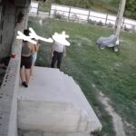 un profesor din pascani cercetat pentru agresiune sexuala asupra unei fetite de 13 ani 68cab3987a8b0