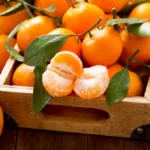 un vanzator de mandarine care nu indeplinea toate conditiile legale a scapat de o amendata data de fisc datorita unei chichite juridice de care functionarii nu au tinut cont 68c7da27170b0